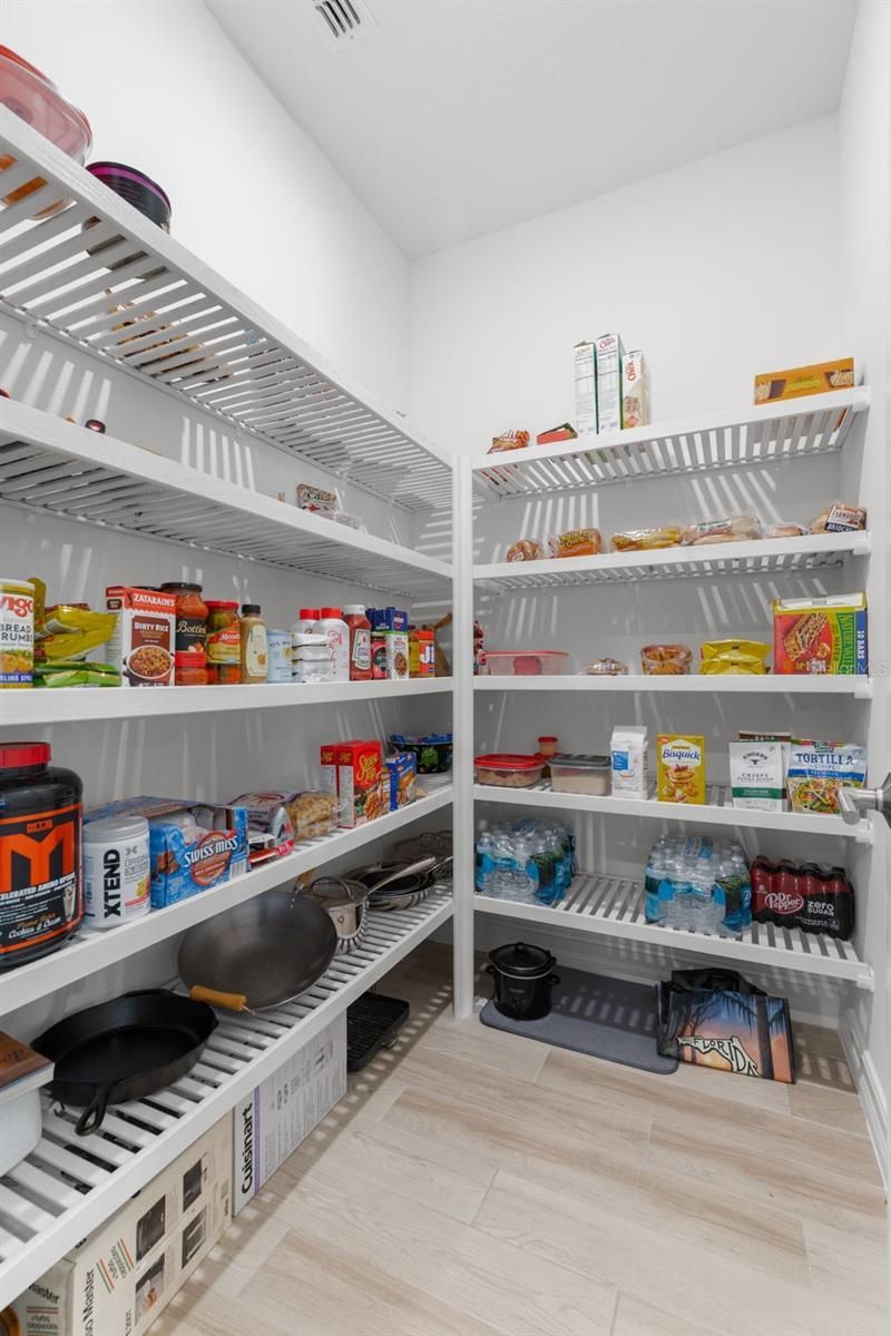 3839 San Vito Drive, Wesley Chapel, FL 33543 Photo