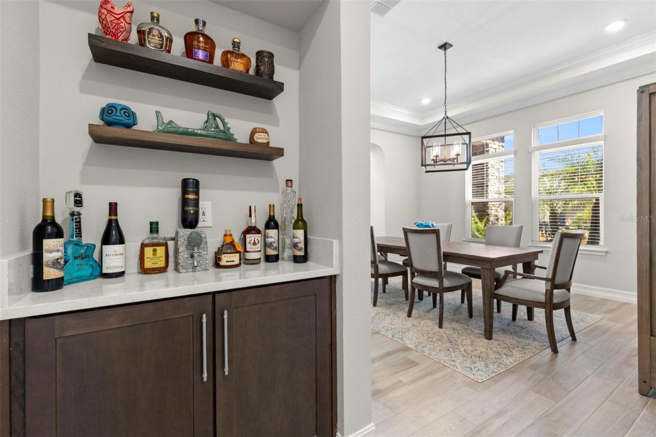 3839 San Vito Drive, Wesley Chapel, FL 33543 Photo