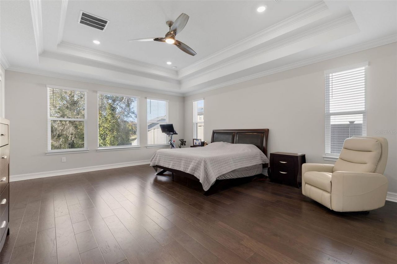 3839 San Vito Drive, Wesley Chapel, FL 33543 Photo