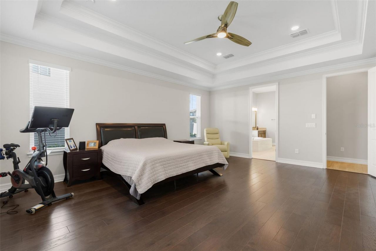 3839 San Vito Drive, Wesley Chapel, FL 33543 Photo