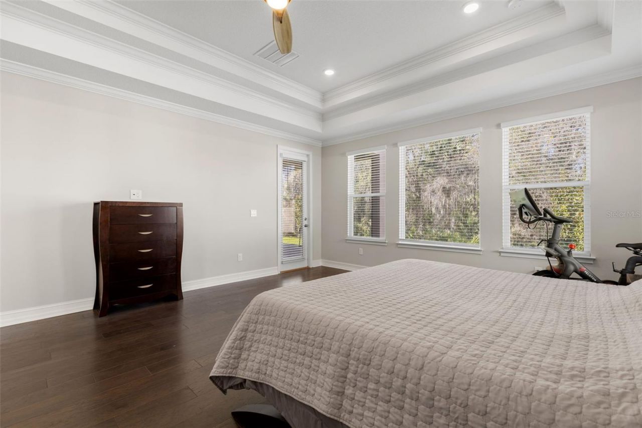 3839 San Vito Drive, Wesley Chapel, FL 33543 Photo