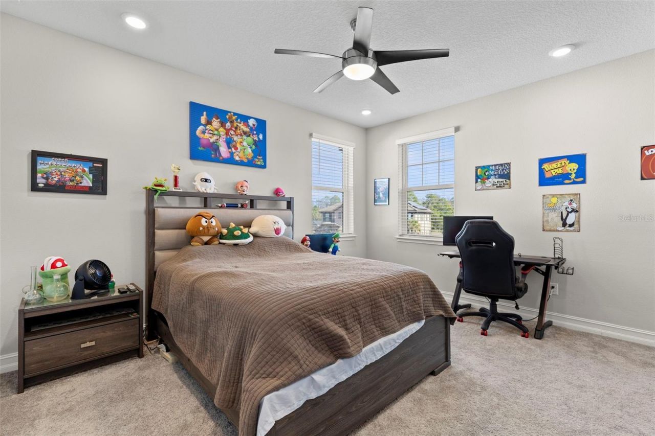 3839 San Vito Drive, Wesley Chapel, FL 33543 Photo