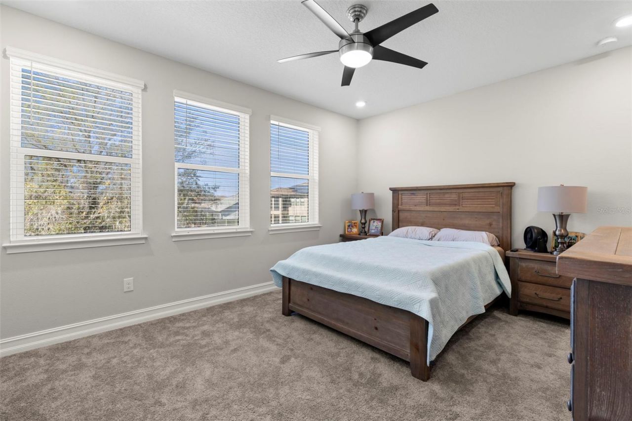 3839 San Vito Drive, Wesley Chapel, FL 33543 Photo