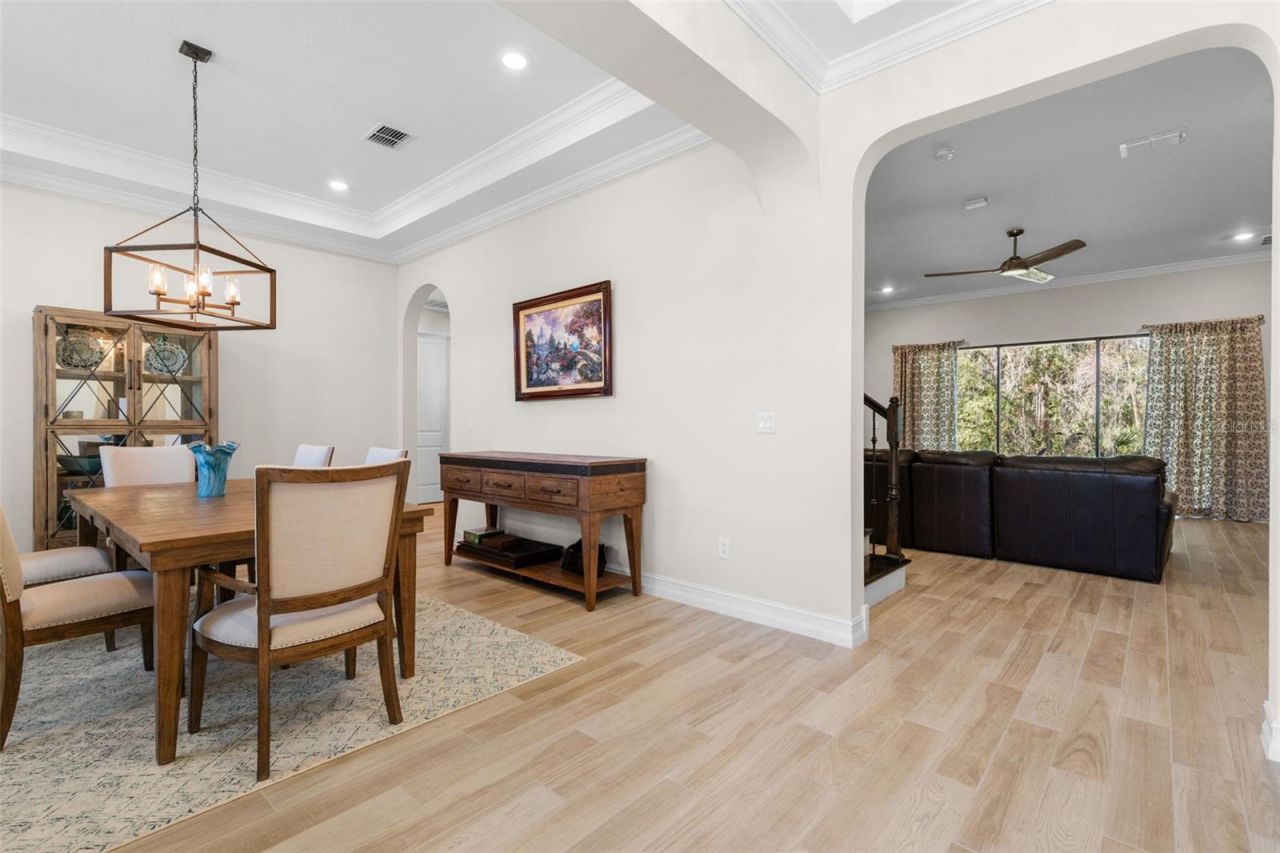3839 San Vito Drive, Wesley Chapel, FL 33543 Photo