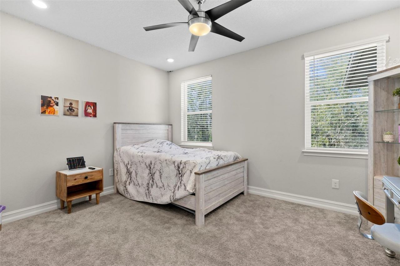 3839 San Vito Drive, Wesley Chapel, FL 33543 Photo