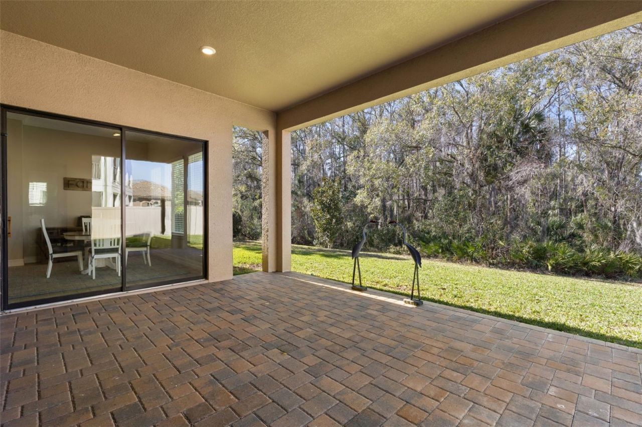 3839 San Vito Drive, Wesley Chapel, FL 33543 Photo
