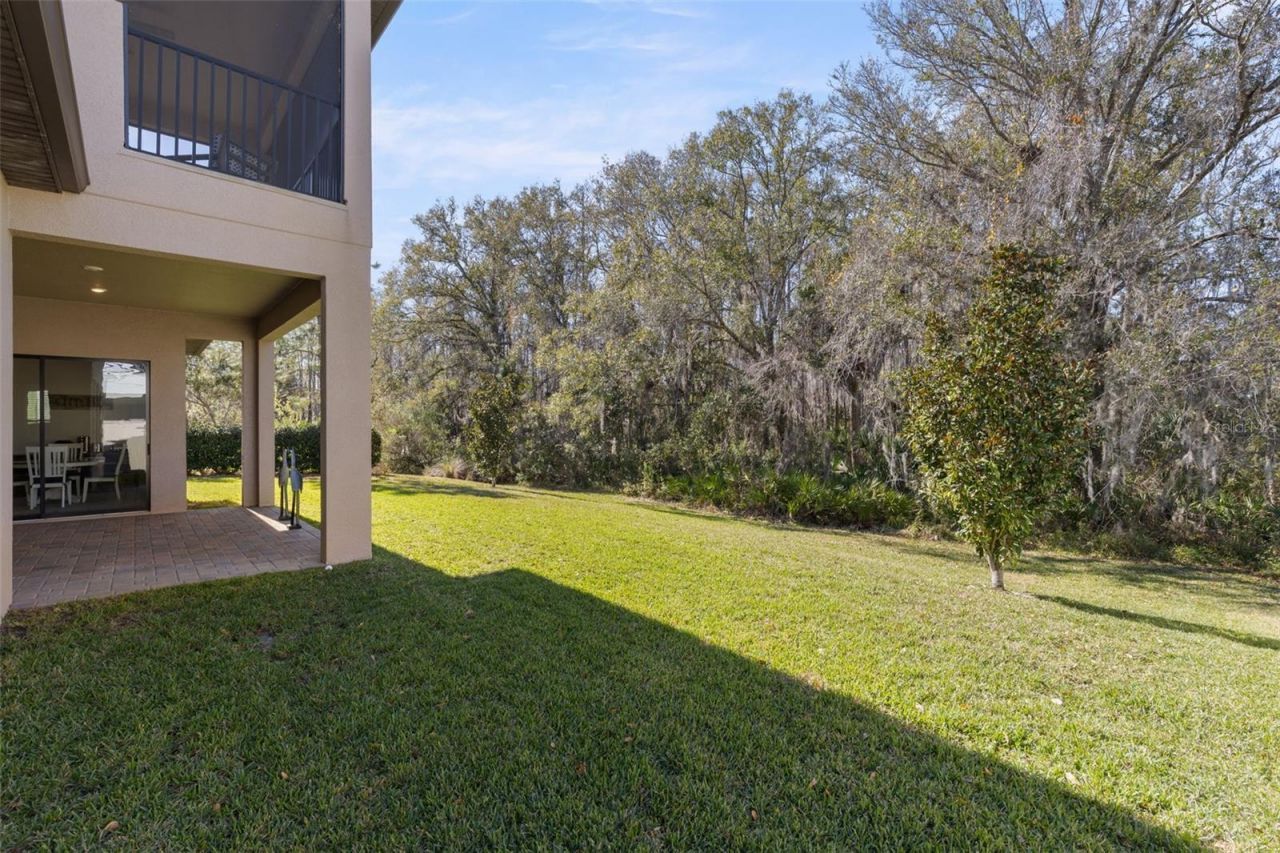 3839 San Vito Drive, Wesley Chapel, FL 33543 Photo