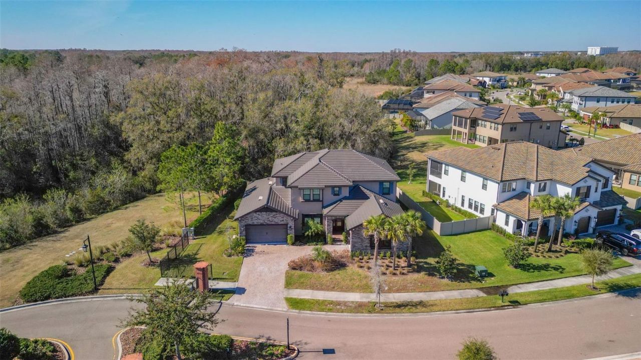 3839 San Vito Drive, Wesley Chapel, FL 33543 Photo