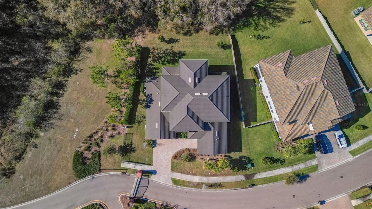 3839 San Vito Drive, Wesley Chapel, FL 33543 Photo