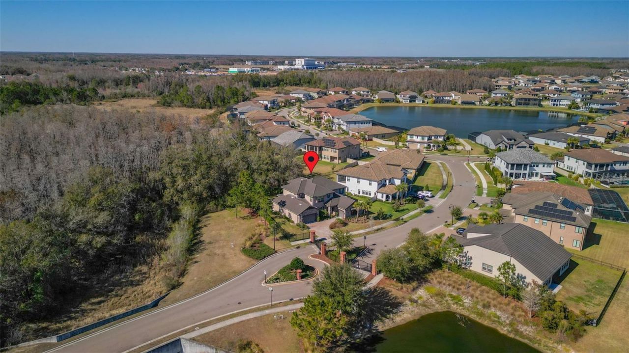 3839 San Vito Drive, Wesley Chapel, FL 33543 Photo