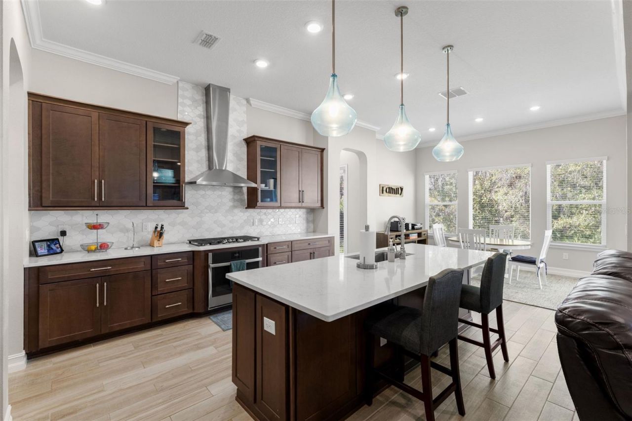 3839 San Vito Drive, Wesley Chapel, FL 33543 Photo