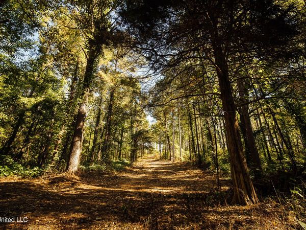 Mississippi 4, Holly Springs, MS 38635