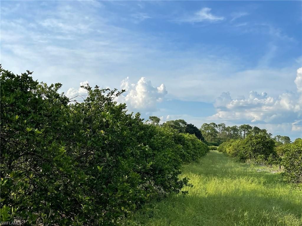 6380 + 6340 6th Rd, Labelle, FL 33935 Photo