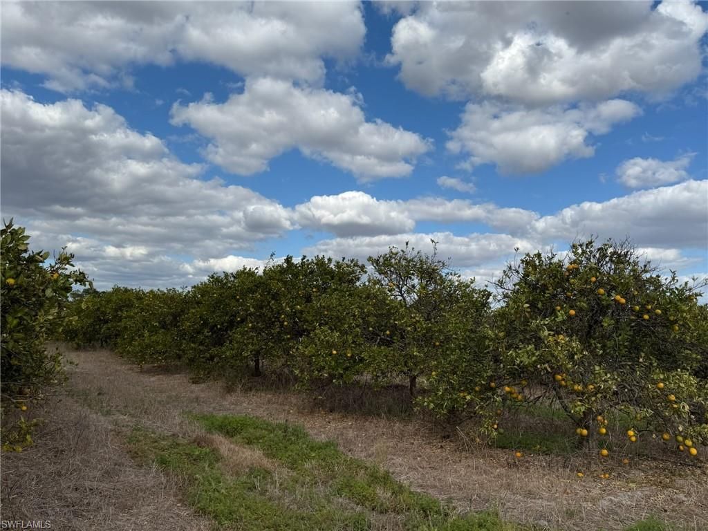6380 + 6340 6th Rd, Labelle, FL 33935 Photo