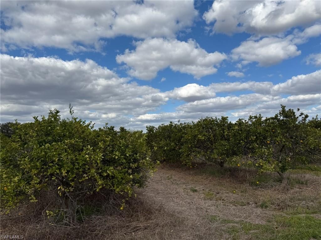 6380 + 6340 6th Rd, Labelle, FL 33935 Photo