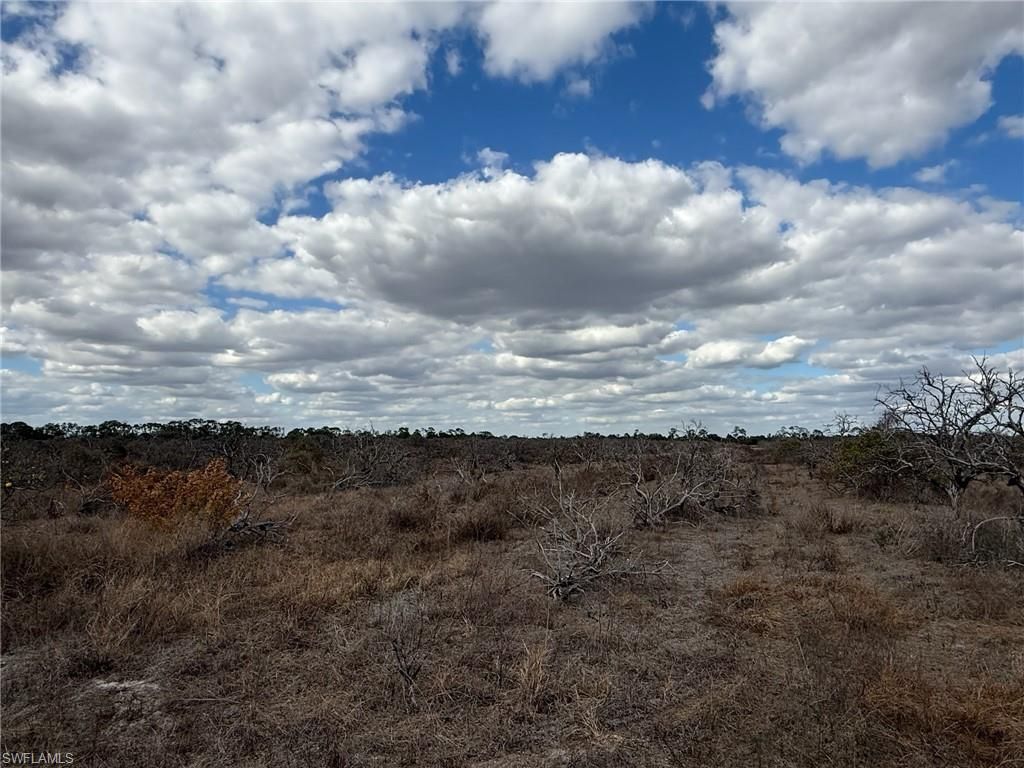6380 + 6340 6th Rd, Labelle, FL 33935 Photo