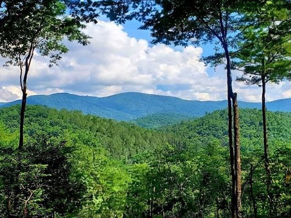Lot 3 Gold Ridge Trail, Cherry Log, GA 30522