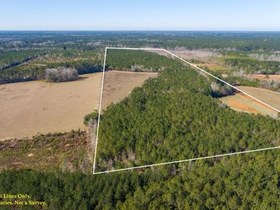 0 Hiotts Pond, Walterboro, SC 29488