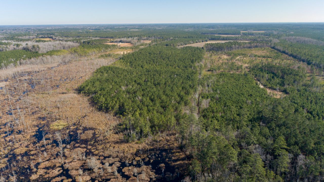 0 Hiotts Pond Photo 10