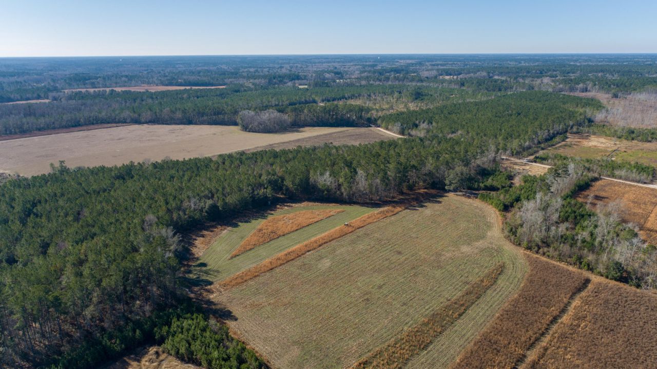 0 Hiotts Pond Photo 13