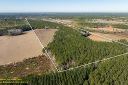 0 Hiotts Pond photo 4