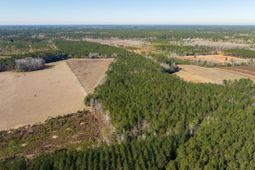 0 Hiotts Pond photo 4