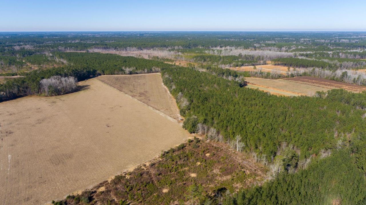 0 Hiotts Pond Photo 4