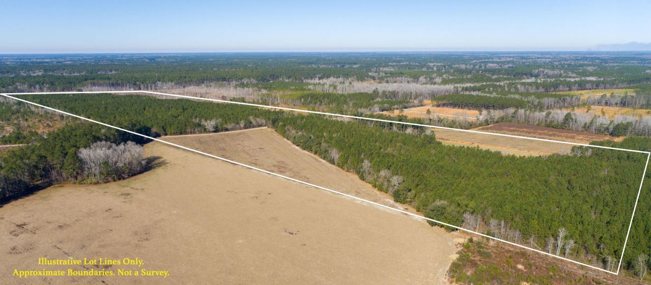 0 Hiotts Pond Photo 5