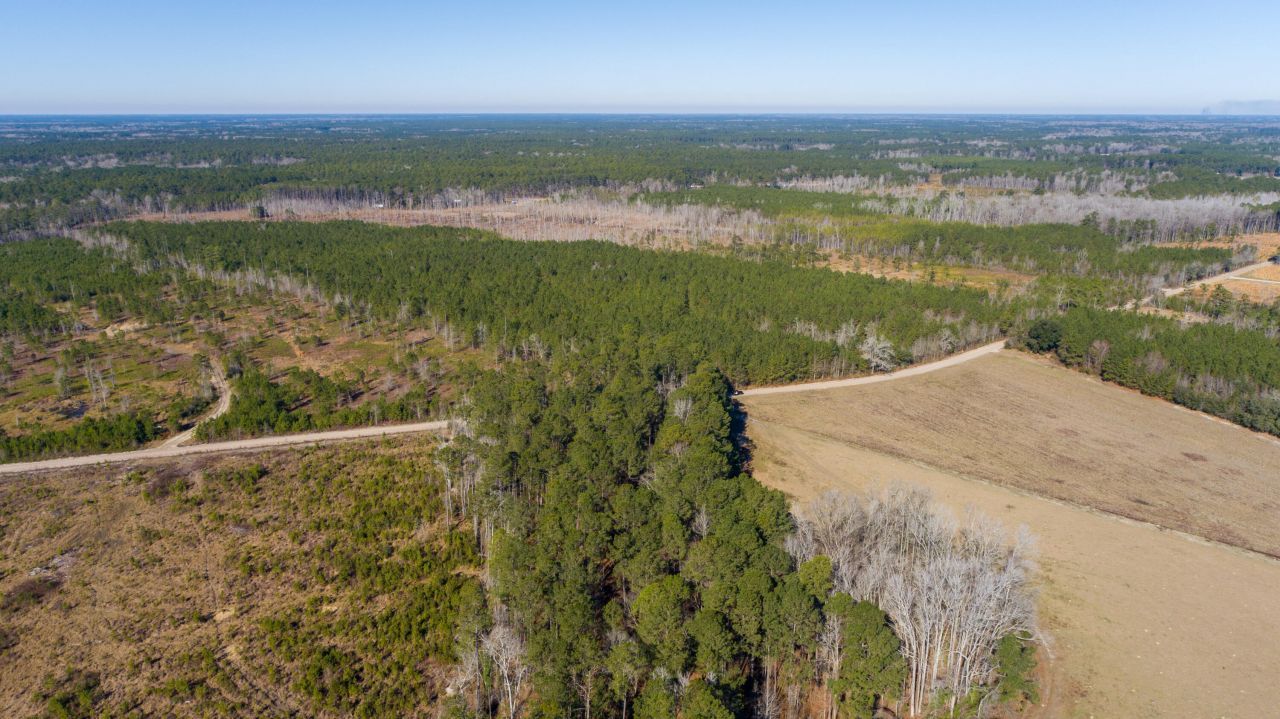 0 Hiotts Pond Photo 7