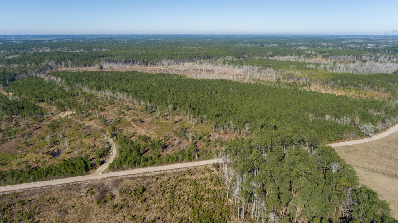 0 Hiotts Pond Photo 8