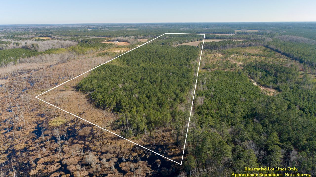 0 Hiotts Pond Photo 9