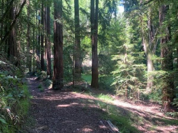 2 2 Wainwright Pl, Mill Valley, CA 94941