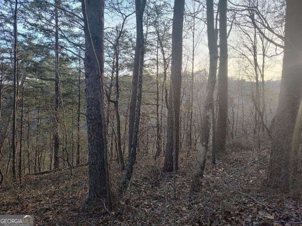 1058 Mayfield Lane, Ranger, GA 30734