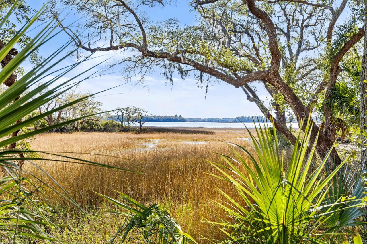 124 Fairbanks Oak Alley Photo 42