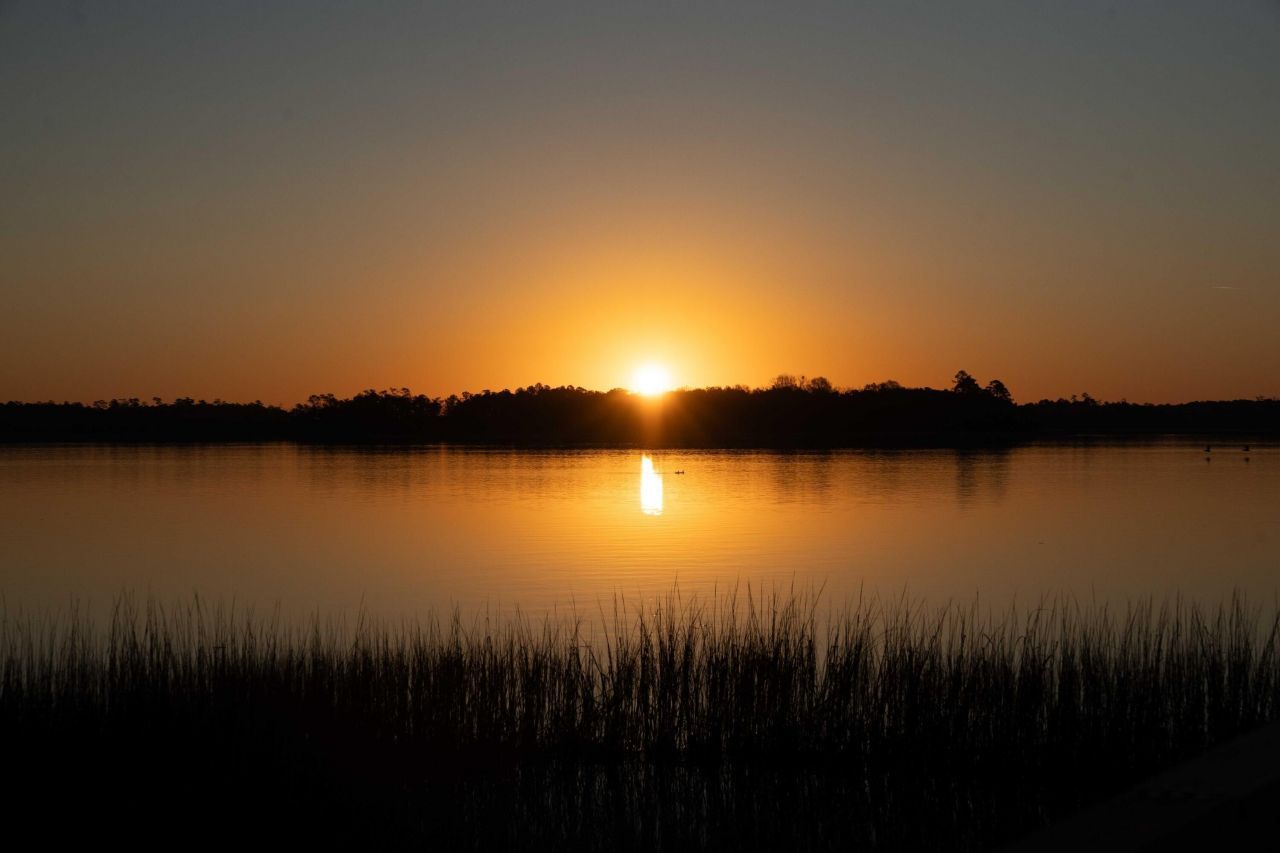 124 Fairbanks Oak Alley Photo 48