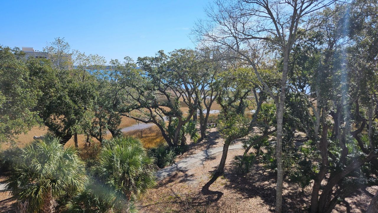 124 Fairbanks Oak Alley Photo 8