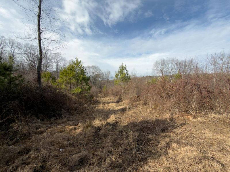 66376 Old Shurtz Road , New Plymouth, OH 45654 Photo 34