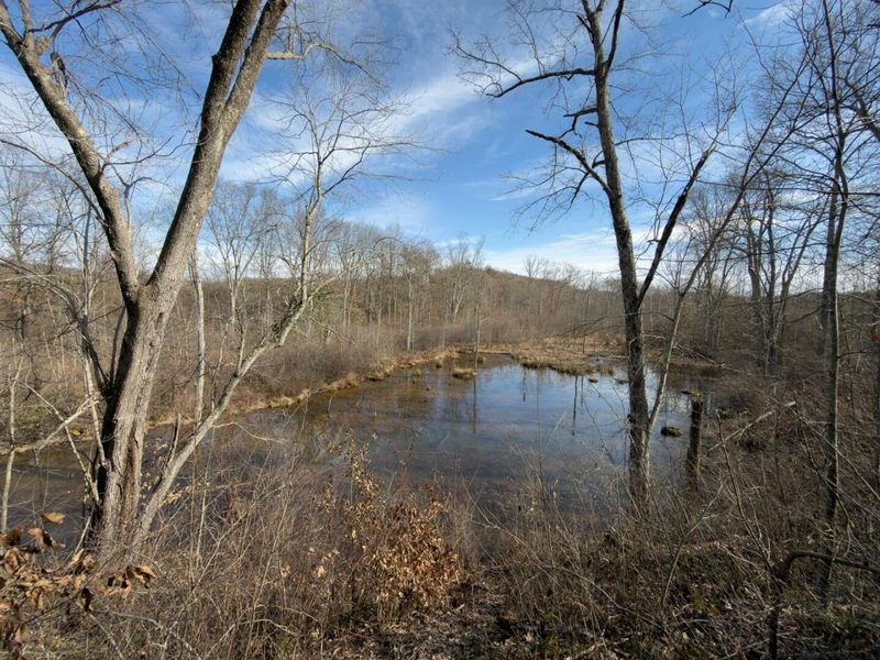 66376 Old Shurtz Road , New Plymouth, OH 45654 Photo 35