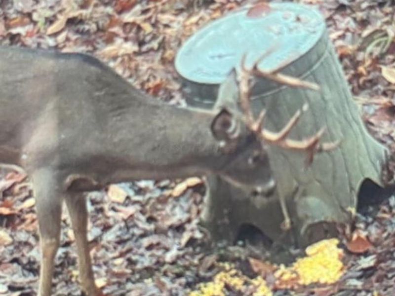 66376 Old Shurtz Road , New Plymouth, OH 45654 Photo 40