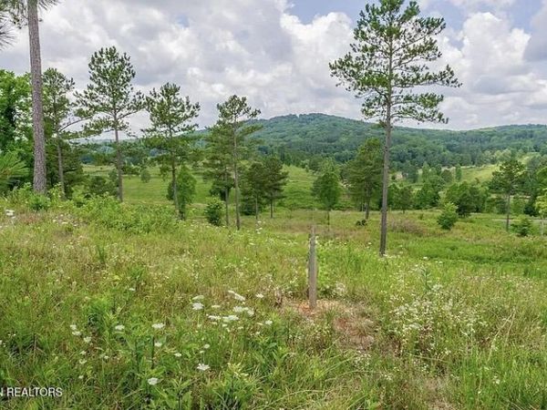 915 Eagle Nest Drive, Loudon, TN 37774