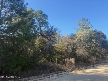 147 NETTLES Road, Florahome, FL 32140