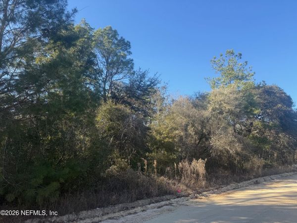 147 NETTLES Road, Florahome, FL 32140