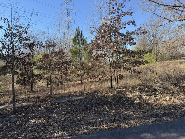 Weston St, Magness, AR 72553