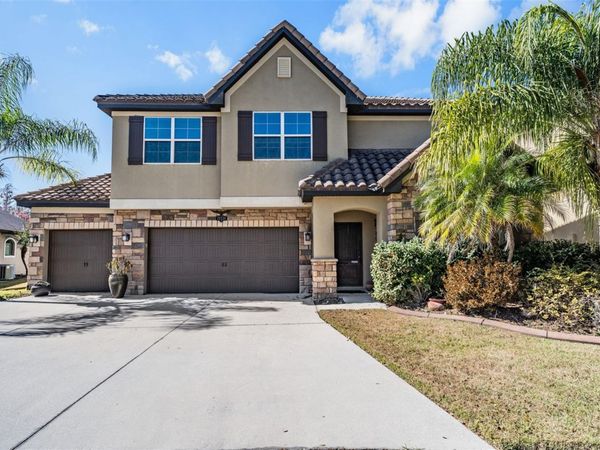 19230 PEPPER GRASS DRIVE, TAMPA, FL 33647