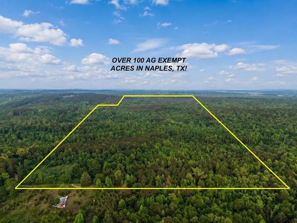 TBD County Road 2742, Naples, TX 75568