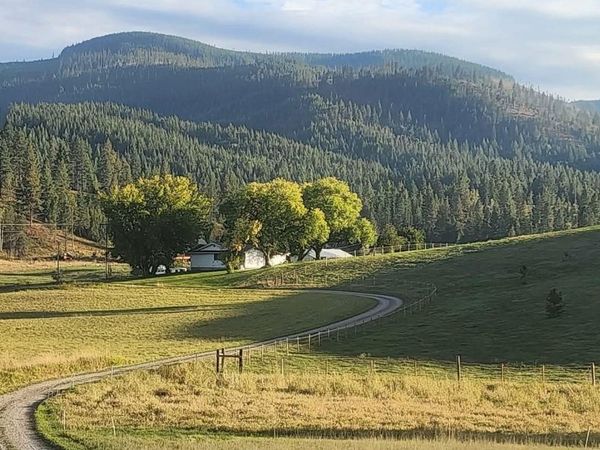 27108 E Blanchard Loop, Newport, WA 99156