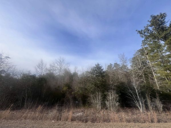 TBD Retired Ave., Marion, SC 29571