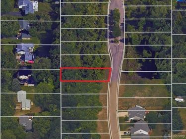 11430 Hidden Oaks Drive, Vienna Twp, MI 48420