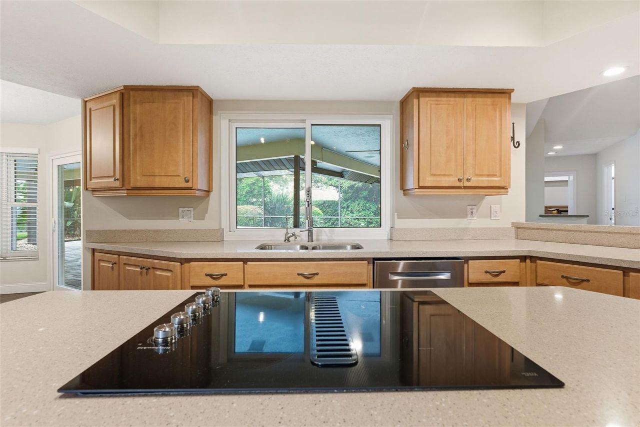 3612 Sugar Loaf Lane, Valrico, FL 33596 Photo