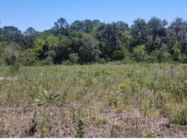 316 BASS LANE, KISSIMMEE, FL 34759